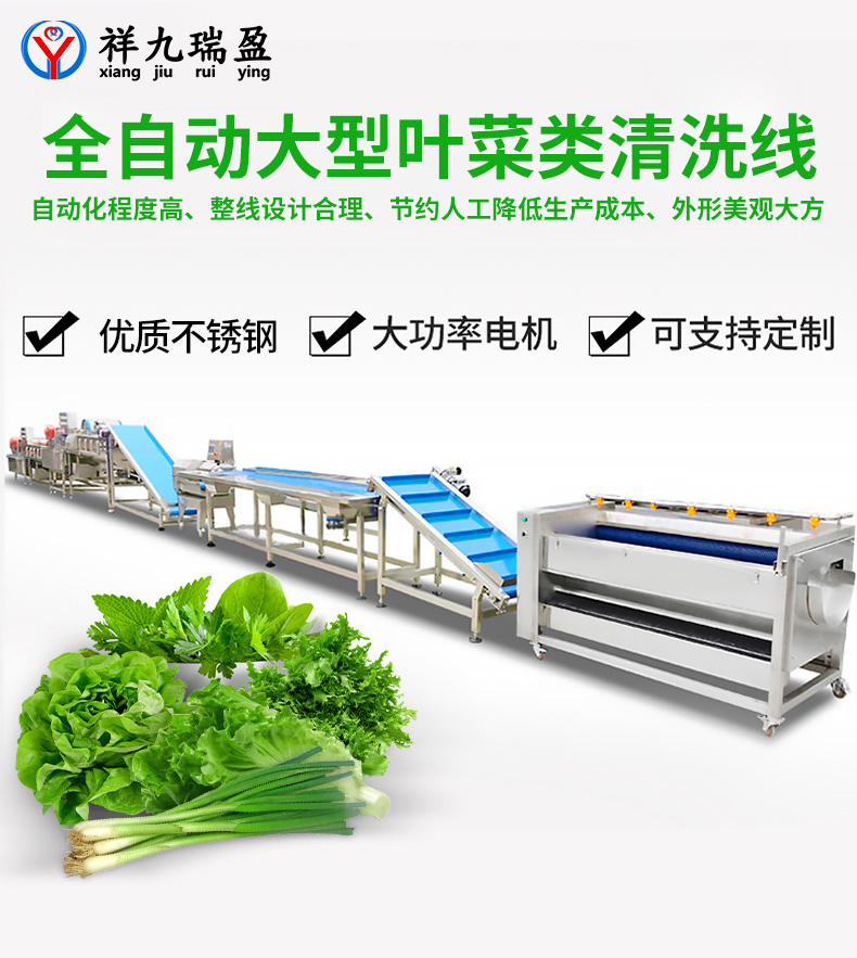 大型葉菜類清洗線生產(chǎn)流程與配套設備，你知道有多少？